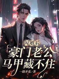 閃婚老公藏馬甲