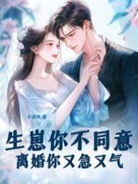 生崽不许离婚不肯