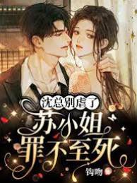 沈總別再折磨她