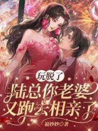 陸總追妻失控了