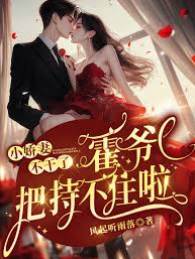 霍爺追妻失控了