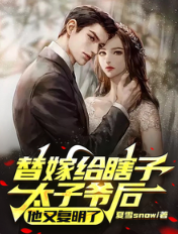 替嫁盲少他复明了