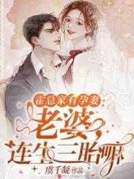 霍總追妻要三胎