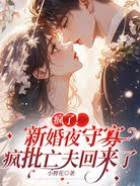新婚夜亡夫归来