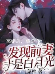 離婚后，黎總發現前妻才是白月光