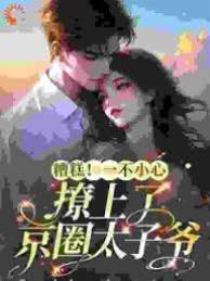 误惹京圈太子爷