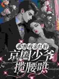 醉吻京圈少爺