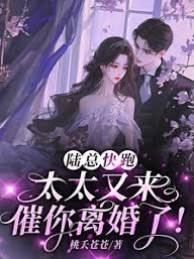 陸總追妻悔紅眼
