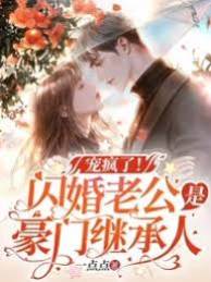 閃婚老公太會寵