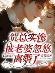 賀總離婚被騙慘