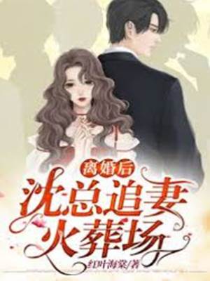 离婚后沈总悔疯了