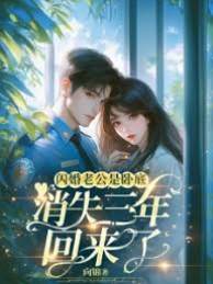 閃婚老公是臥底，消失三年回來了