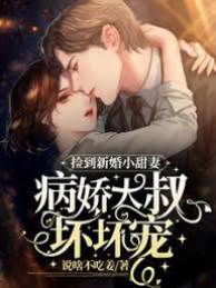 逃婚撞進大叔懷