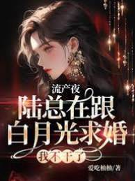 流產夜，陸總在跟白月光求婚，我不干了