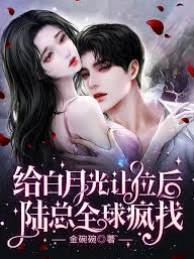 讓位後陸總瘋了