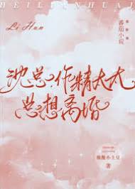 沈總太太又鬧離婚