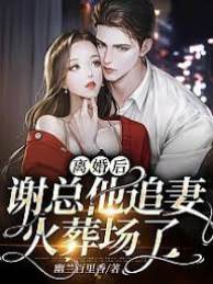 離婚后謝總悔瘋了