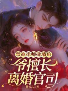 禁欲律師撬墻角，爺擅長離婚官司