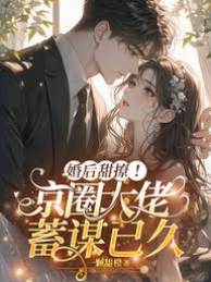 醉嫁京圈大佬