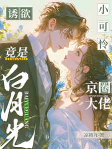 小可憐被大佬寵哭
