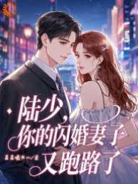 陸少閃婚妻又逃了