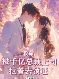 被總裁拽去領證