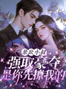 撩错禁欲小叔