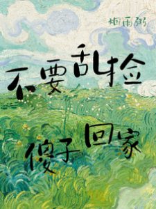 別撿傻子回家