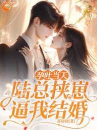 孕吐後陸總逼婚