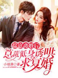 怀崽离婚后总裁低声诱哄求复婚