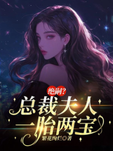 一胎雙寶惹總裁