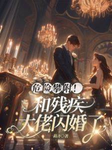 閃婚輪椅大佬