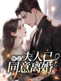 傅總，離婚吧