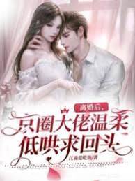 離婚後傅爺求回頭