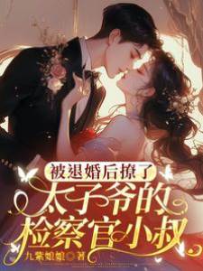 退婚后撩上小叔