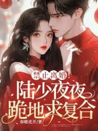 陸少跪求復婚