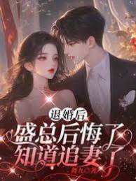退婚后盛总追妻