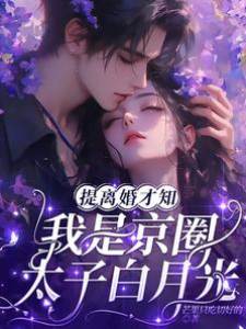 離婚後太子瘋了