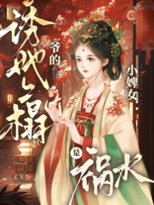 小婢禍水惹爺寵