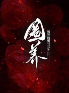 金丝雀上位