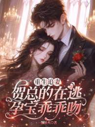 賀總重生追孕妻