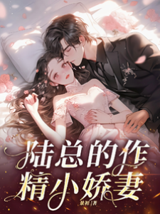 陸總寵妻成癮