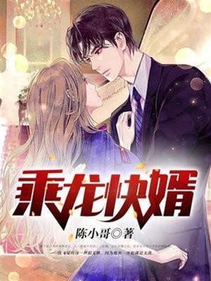 乘龍快婿