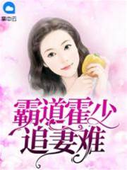 霸道霍少追妻難