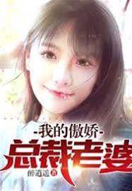 我的傲嬌總裁老婆