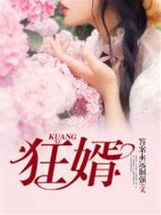 狂婿