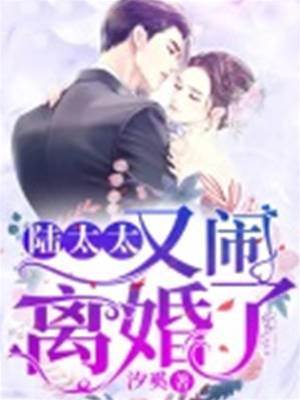 陸太太又提離婚