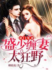 盛少追妻失控