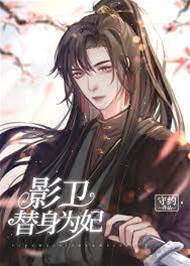 替嫁后影衛小夫郎揣崽了