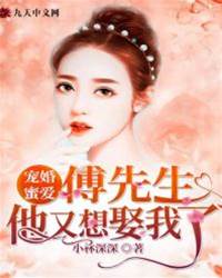 傅先生又想娶她
